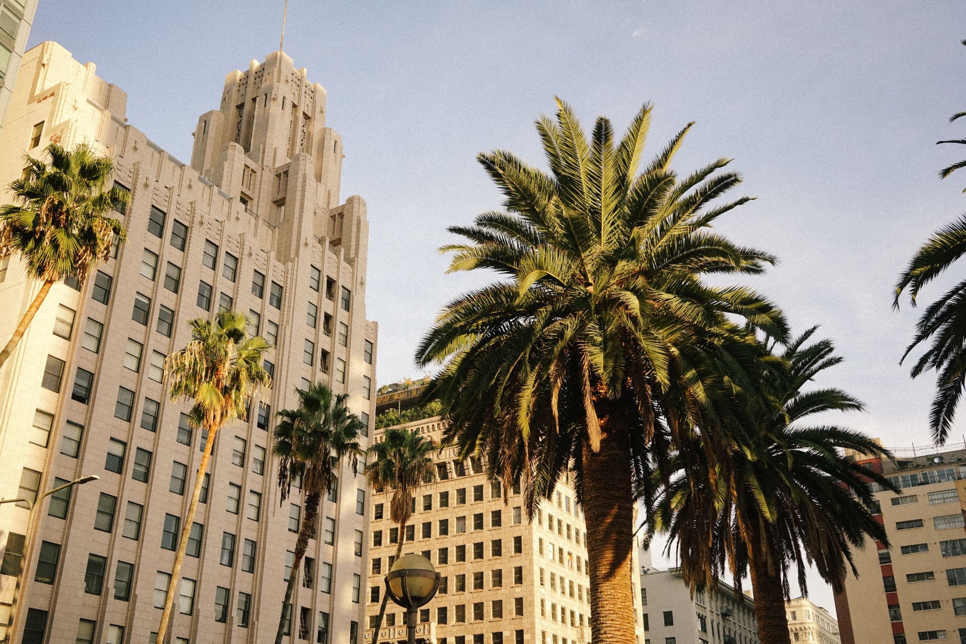 Palm trees and Art Deco towers in downtown Los Angeles